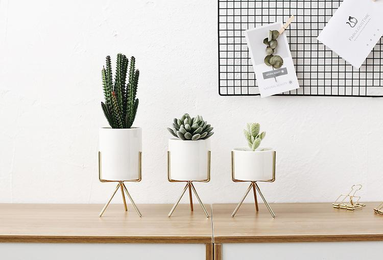 What is home decoration: Step by Step Guide for Beginners